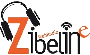 logo Zibeline